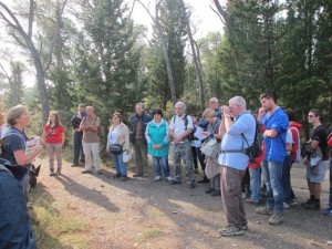 Simonetta Pagnini parla degli endemismi botanici delle Ofioliti