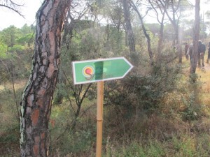 Cartellino del geoevento lungo il percorso