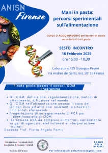 VI incontro Corso ANISN 2024-25 (1)