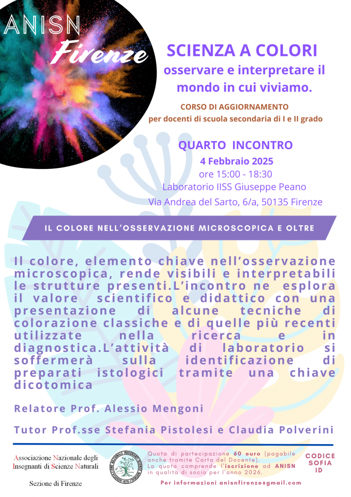 Incontro 4 Corso ANISN 2025-26